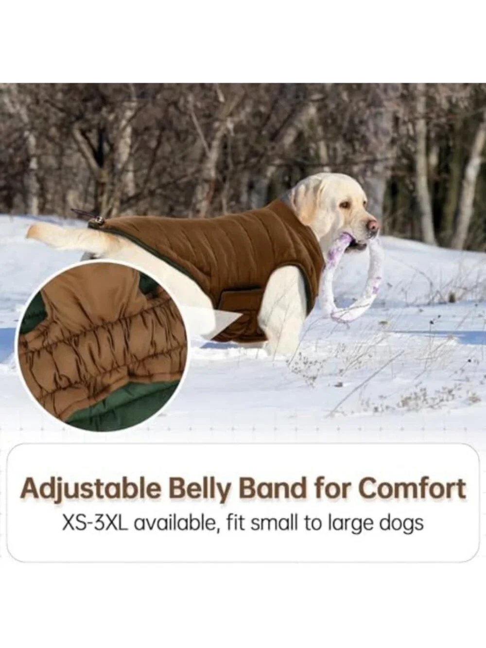 Reversible Windproof Dog Coat | Lightweight Puffer Vest for All Seasons